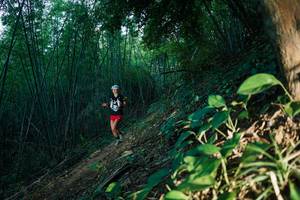 BIB: 
                            <button type="button" onclick="openModal(28123656)" class="btn btn-primary btn-sm float-right btn-popup" data-toggle="modal" data-target=".modal-high-quality">
                        <i class="fas fa-shopping-cart"></i> Add to Cart
                    </button>
                                            <button type="button" onclick="isThisMe(28123656, true)" class="btn btn-success btn-sm float-right btn-popup btn-isme hidden" data-toggle="tooltip" data-placement="bottom" title="นี่คือรูปของคุณใช่ไหม คลิกที่นี่เพื่อเอาเข้าอัลบั้ม">
                        <i class="fas fa-plus"></i> Add to album
                    </button>
                    <button type="button" onclick="isThisMe(28123656, false)" class="btn btn-warning btn-sm float-right btn-popup btn-isnotme hidden">
                        <i class="fas fa-ban"></i> Remove from album
                    </button>